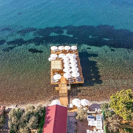 Assosa Hotel Ayvacik Exterior foto